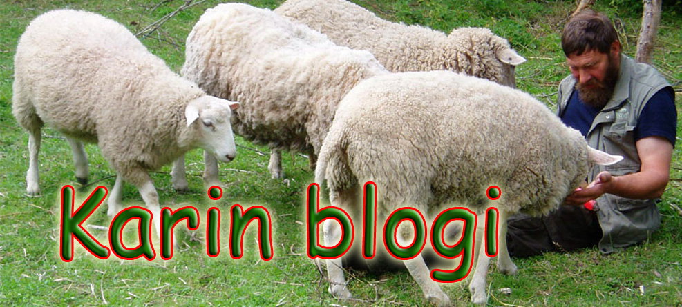 karinblogi