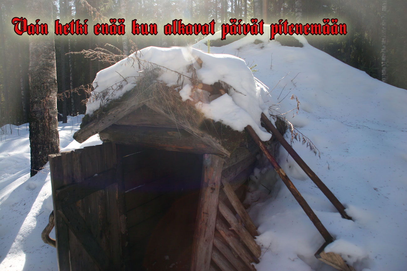 turvekammi