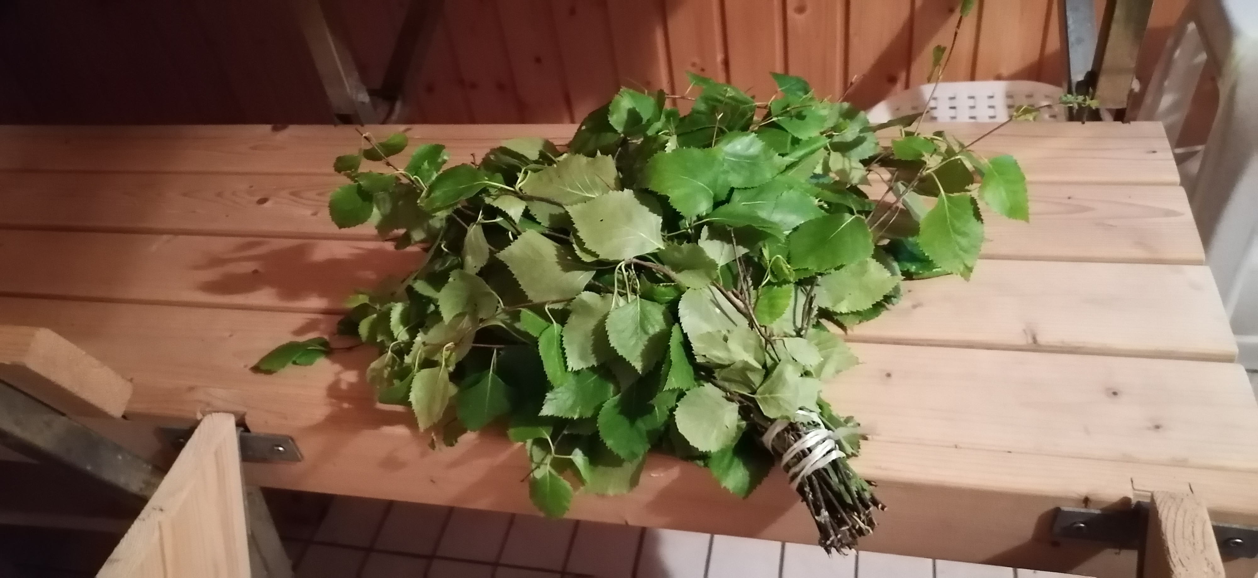 J vihta