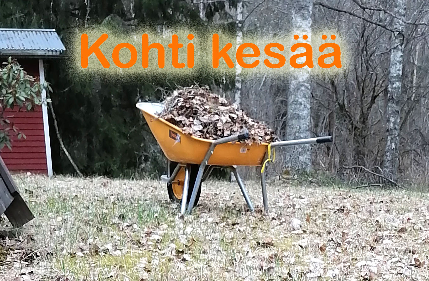 Talkoot vinkki haravointi