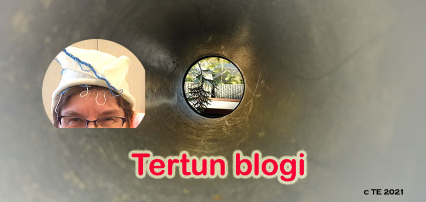 Tertun blogi