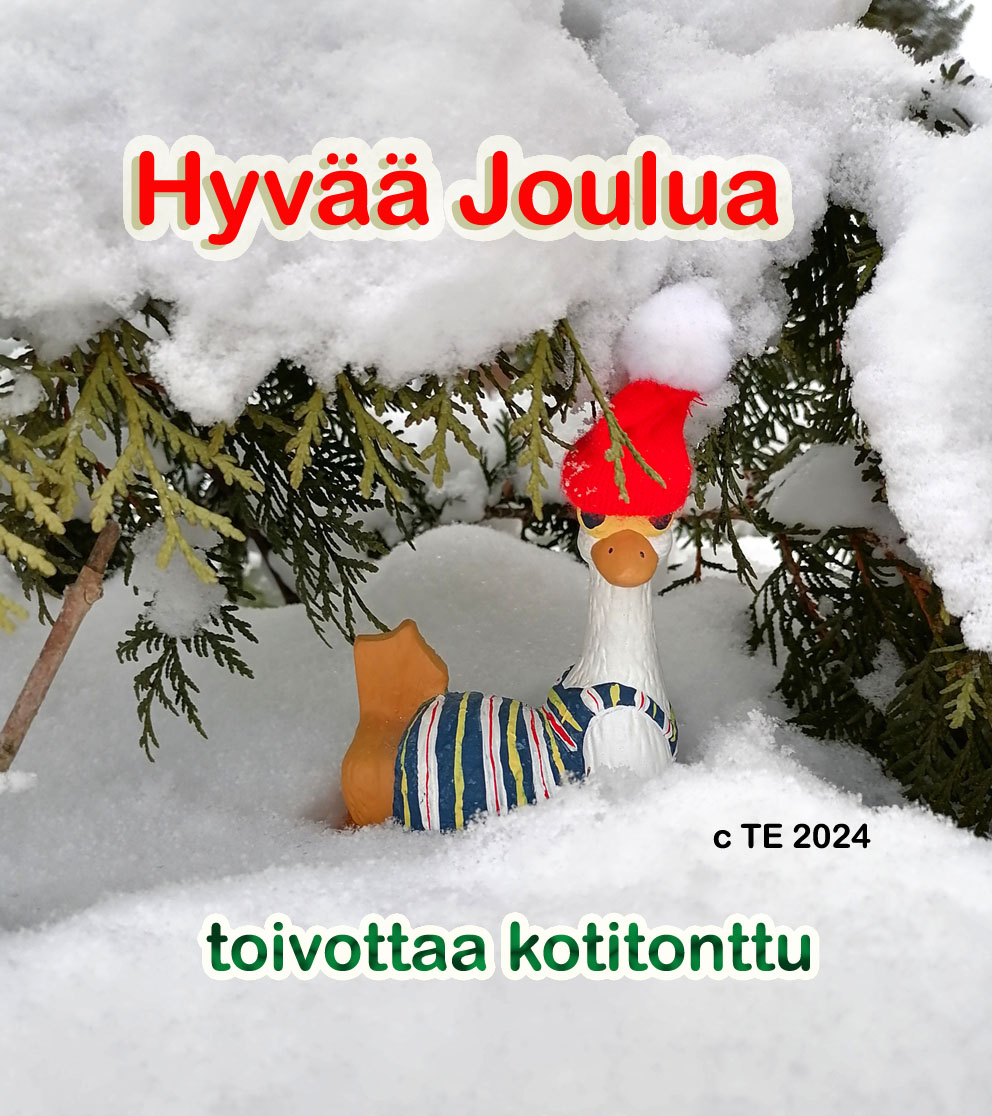 joulutonttu 1 kotitonttu ok